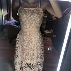 Moon lite nude dress with beautiful lace covering